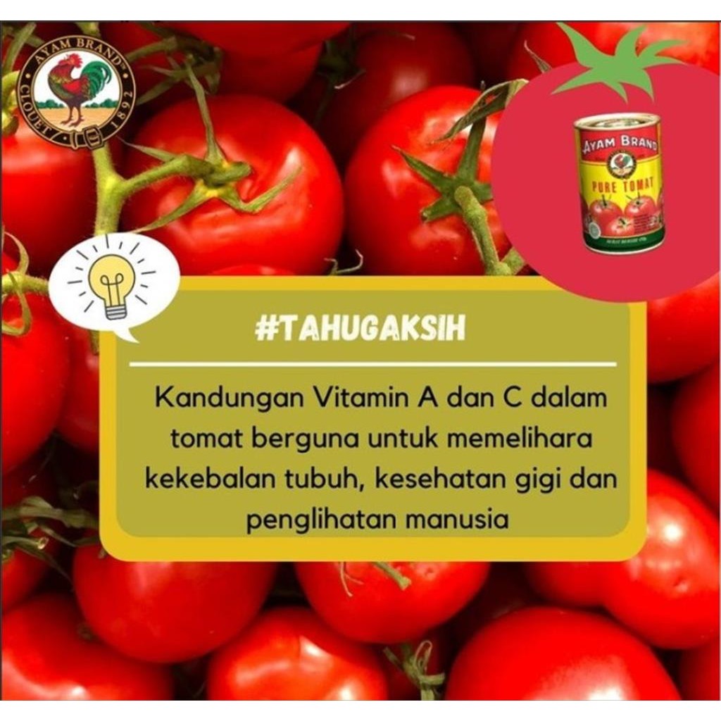 

AYAM BRAND TOMATO PUREE 430 GR PASTA TOMAT KALENG HALAL NO MSG TANPA PENGAWET