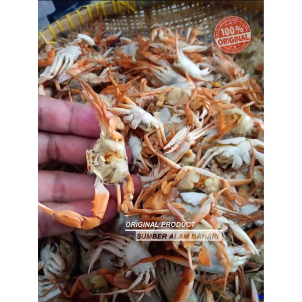 

baby crab mentah bahan crispy 1KG