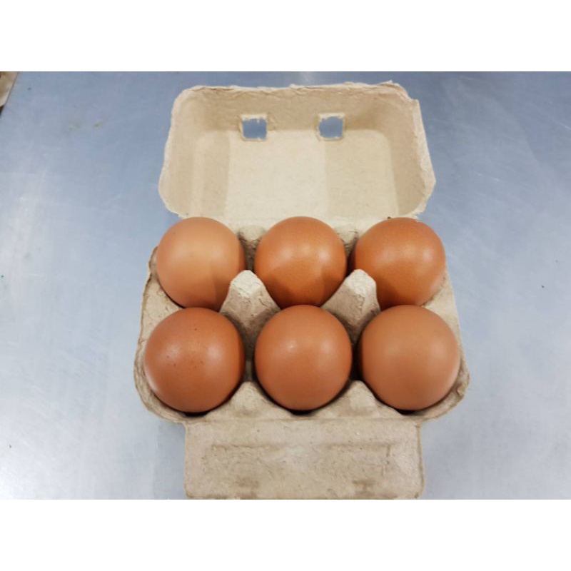 

TELUR AYAM NEGRI ISI 6 BUTIR