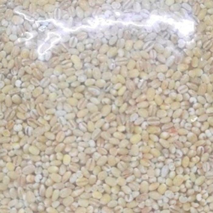 

1000gr Kuartet Nabati Barley / Biji Jali-Jali