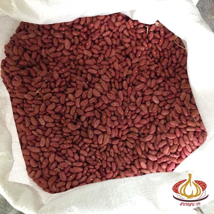 

Kacang Merah Jogo per kg