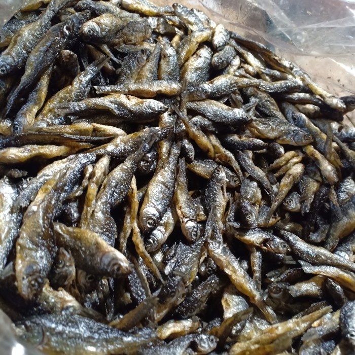 

ikan kering bilih fres segar