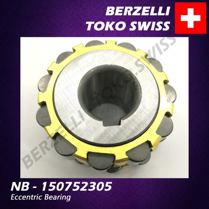 Nb 150752305 Eccentric Bearing