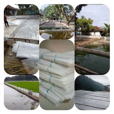 [BestSeller] Plastik UV Lebar 6 Meter 14% Tebal 200 Micron (Greenhouse) plastik atap