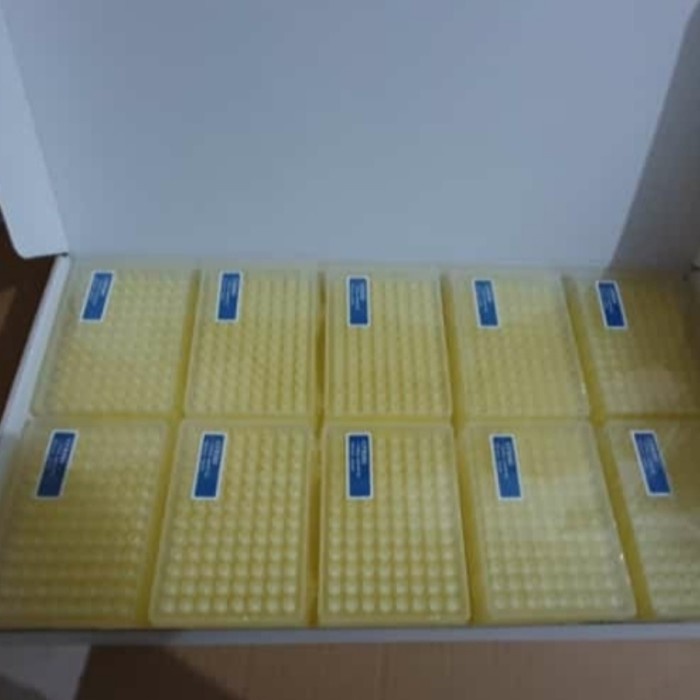 filter tips gsbio I 10/20/100/200/1000/1250 ul I universal tips