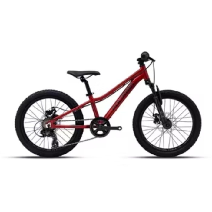 Sepeda Gunung Anak Polygon MTB 20 Relic