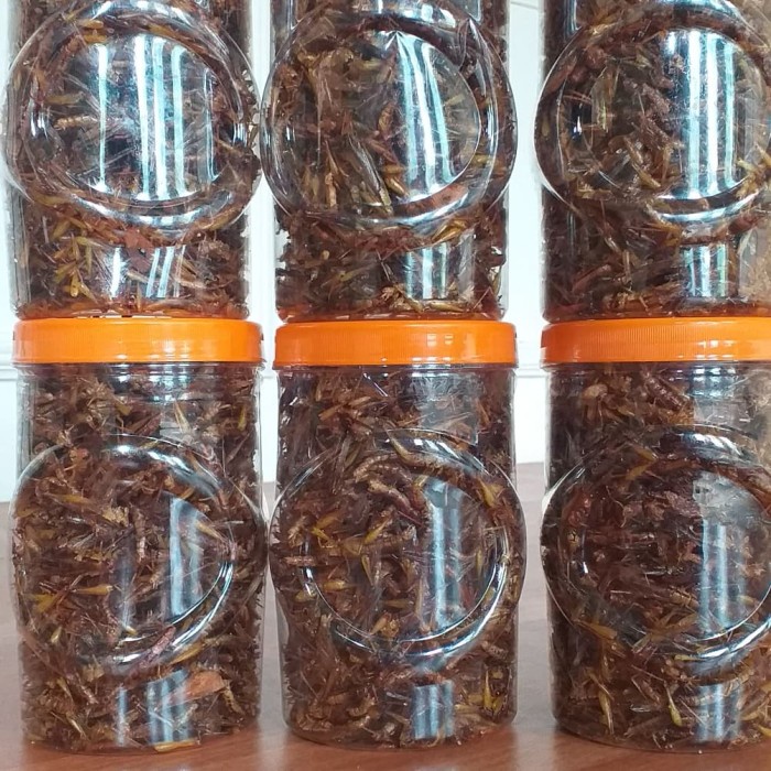 

Belalang Goreng Kemasan Toples Sonice 50Rb An Terlaris
