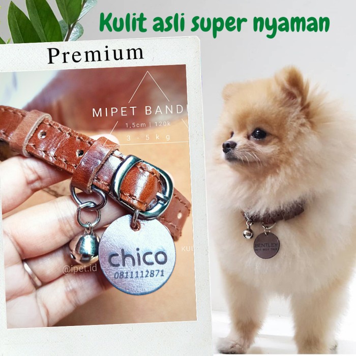 Ready Kalung Anjing Kecil Kulit Custom Nama