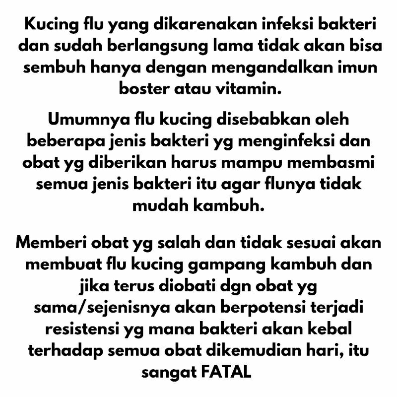 [READY] obat flu kucing/flu berat flu menahun dan ampuh