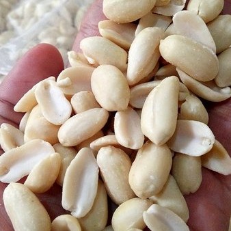 

kacang kupas mentah