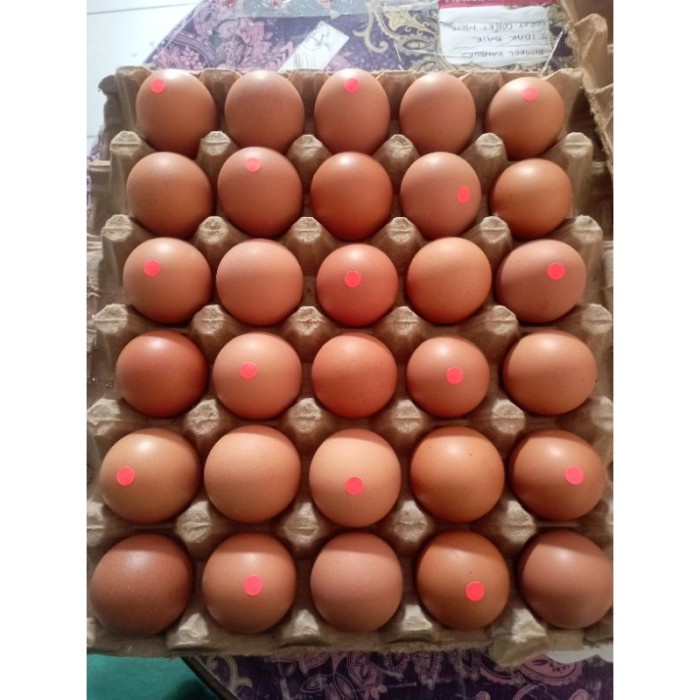 

(BestSeller) Telur Ayam Super Premium 30 Butir