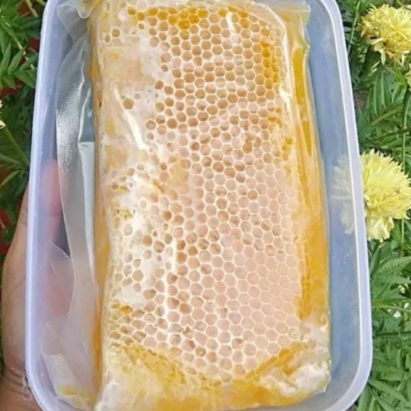 

Sale Terbatas Madu Sarang Asli Honeycomb Madu Sarang Apis Melifera Aman