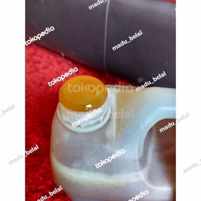 

Promo Terbatas Madu Marai Mara'I Merah Yaman Asli Ukuran 7 Kg Asliii Aman
