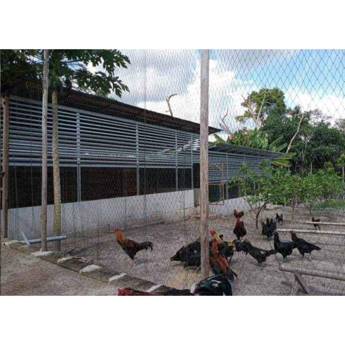 Terbaru TERBARU Jaring Ayam Lubang 1 cm / Jaring Pagar Ayam / Jaring Burung / Berkualitas