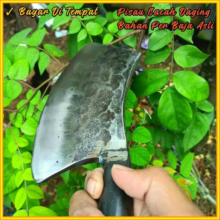 PISAU DAGING - PISAU CACAH DAGING TULANG - PISAU PER CACAH TULANG TEBAL 8 ML TERBARU