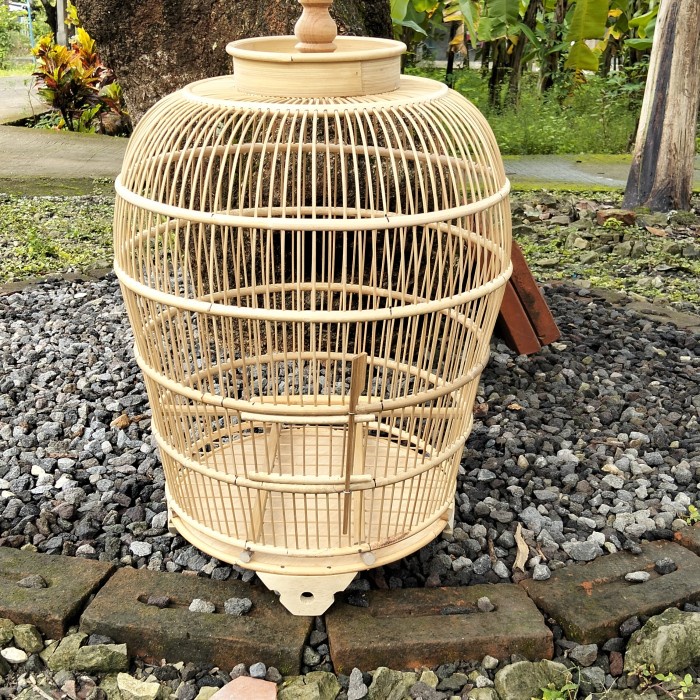 PREMIUM Sangkar Burung Perkutut Sabuk Rotan Jeruji Bambu