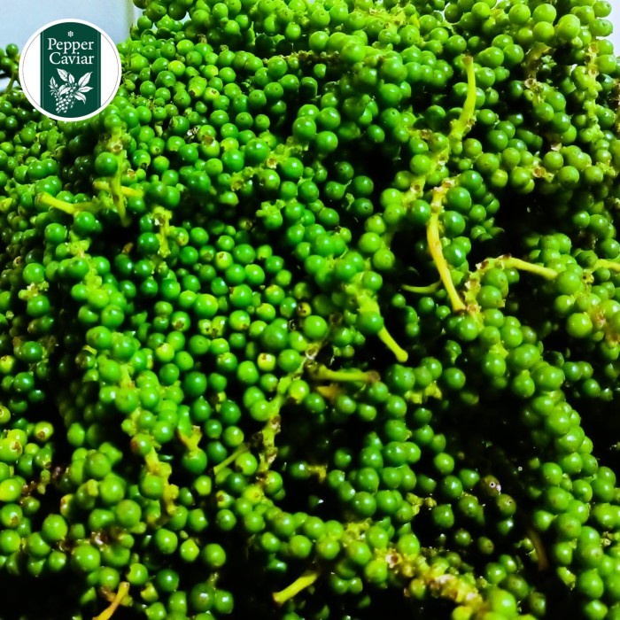 

Promo Terbatas Pepper Caviar Brined Pepper Size M / Lada Hitam Spice Aman
