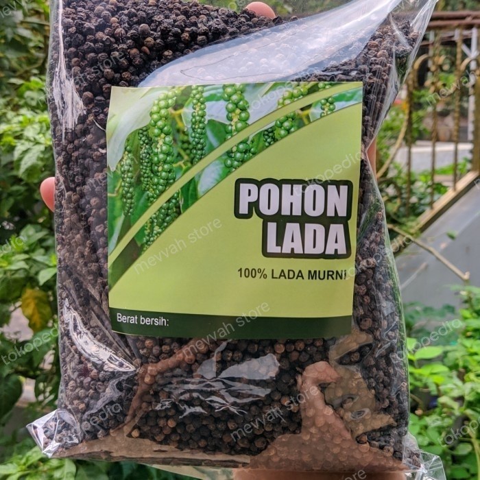 

Sale Terbatas Pohon Lada Lada Hitam Halus Premium 1 Kg Aman