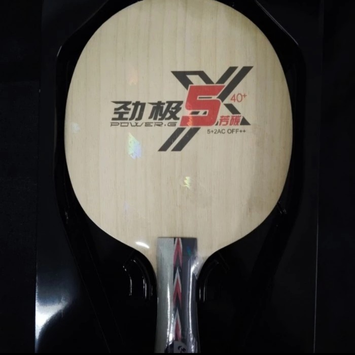 Bet Kayu Pingpong DHS Power G PG5X