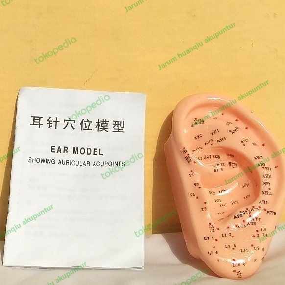 patung akupunktur telinga / patung telinga akupuntur
