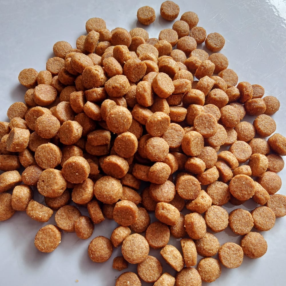 Bolt Makanan Kucing Bolt Tuna & Salmon Bolt Ikan / Donat / Bulat Makanan Kucing Kering 1kg