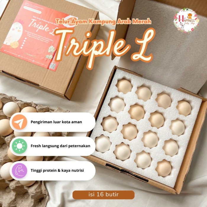 

(TopSeller) (PACKING AMAN) TRIPLE L TELUR / TELOR AYAM KAMPUNG ARAB FRESH ISI 16 BUTIR