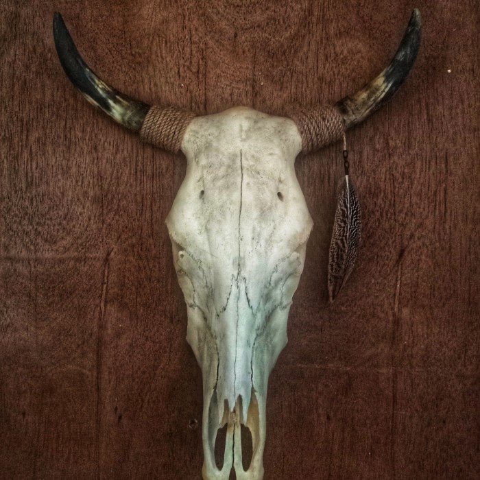 TERPERCAYA Dekorasi Dinding Tengkorak Sapi Pajangan Hiasan Rumah Kepala Banteng