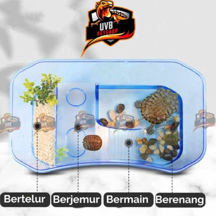 PREMIUM Tempat Kura kura Vivarium box Turtle Brazil kandang Nomoypet
