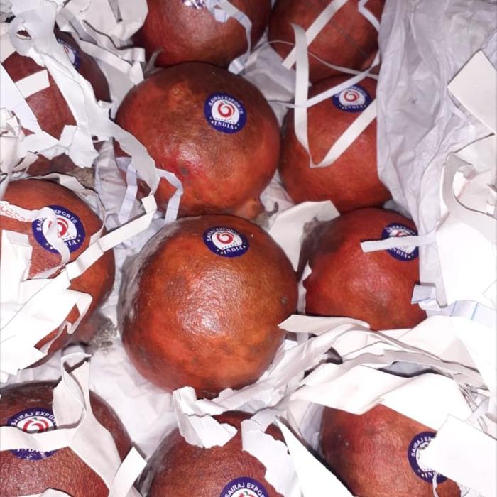 

Lezat- HARGA PROMO TERMURAH Buah Delima Merah import JUMBO DIJAMIN MURAH