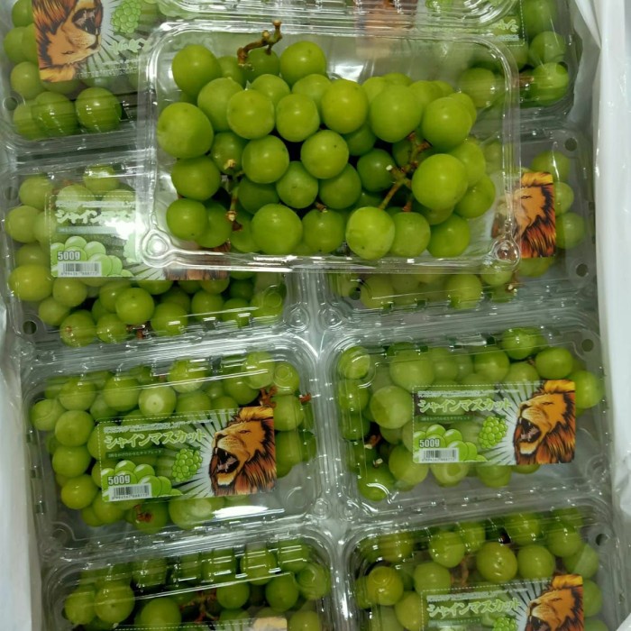 

Lezat- anggur muscat china 500 gram