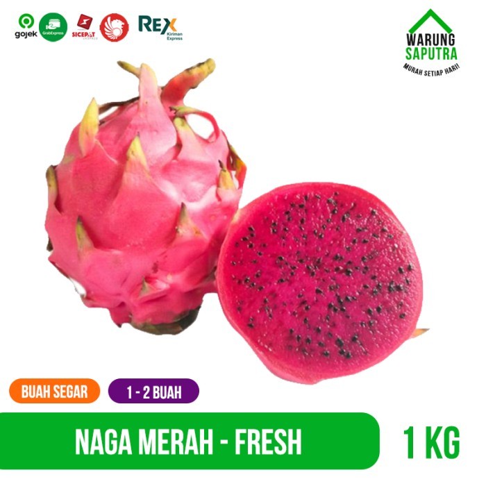 

Lezat- Buah Naga Merah Segar 1 Kg