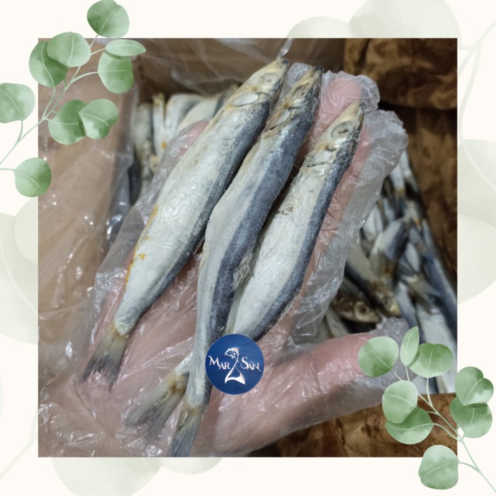 

ikan asin japuh ketan 500 gram