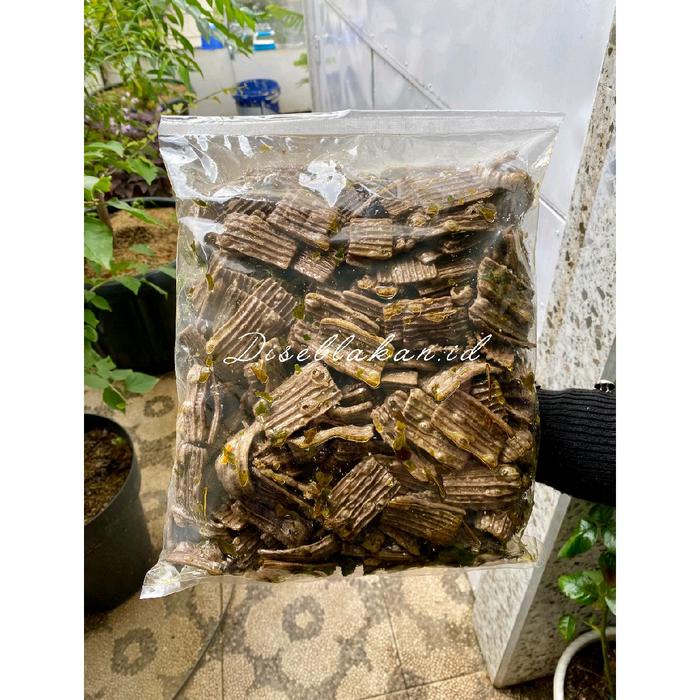 

Kerupuk jengkol original daun jeruk kemasan 1kg