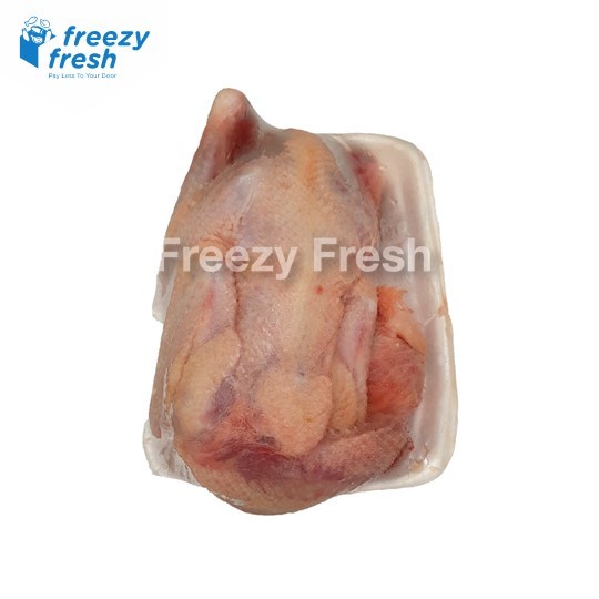 

Lezat- Ayam Pejantan Premium uk 06-07 per ekor