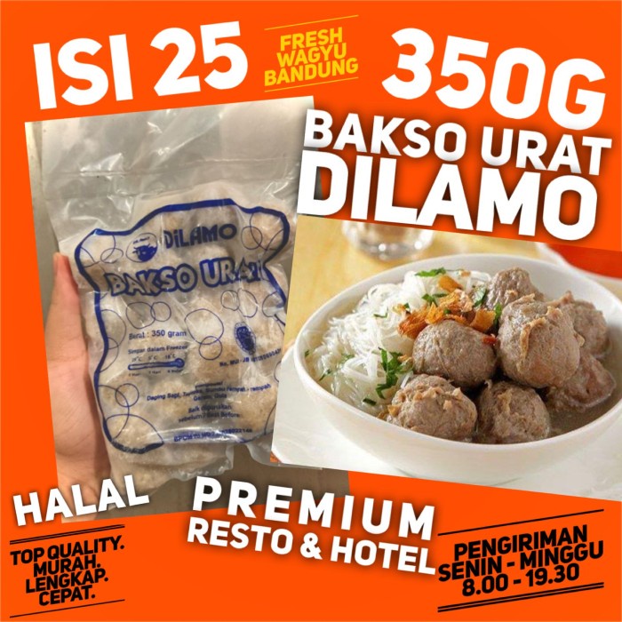 

Lezat- DILAMO BASO URAT ISI 25 PREMIUM Bakso Daging Sapi Halal 350g