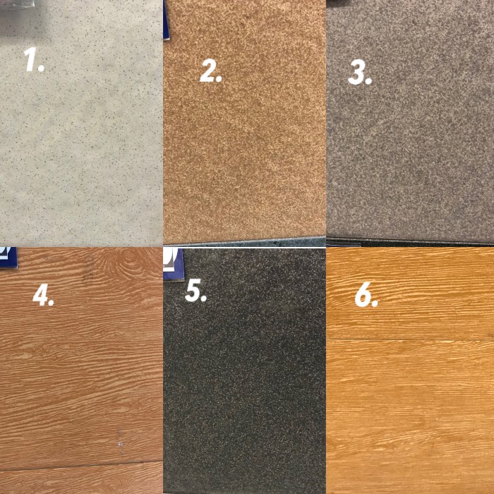 Pet- kandang kucing alumunium 1 pintu 1 kamar