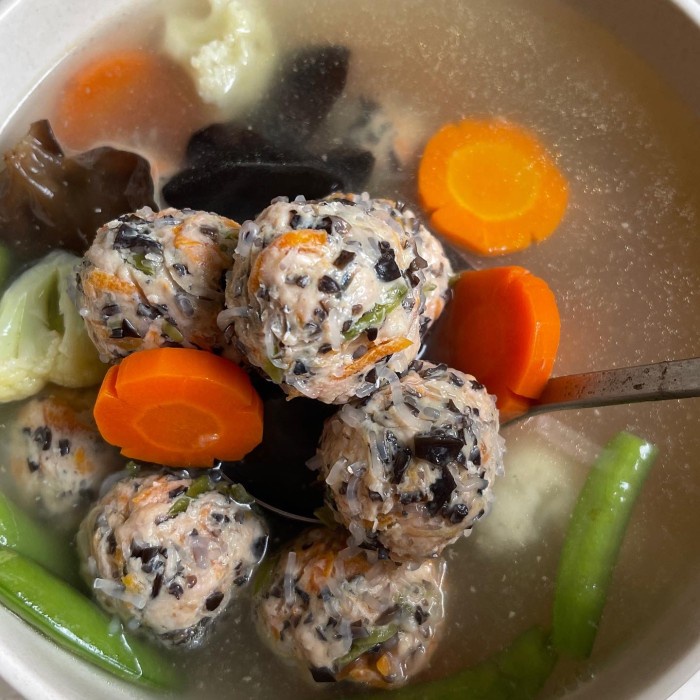 

New Bakso Lohua Isi 10 Jumbo Original