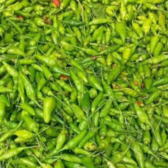 

Cabe Rawit hijau ijo pedas fresh segar
