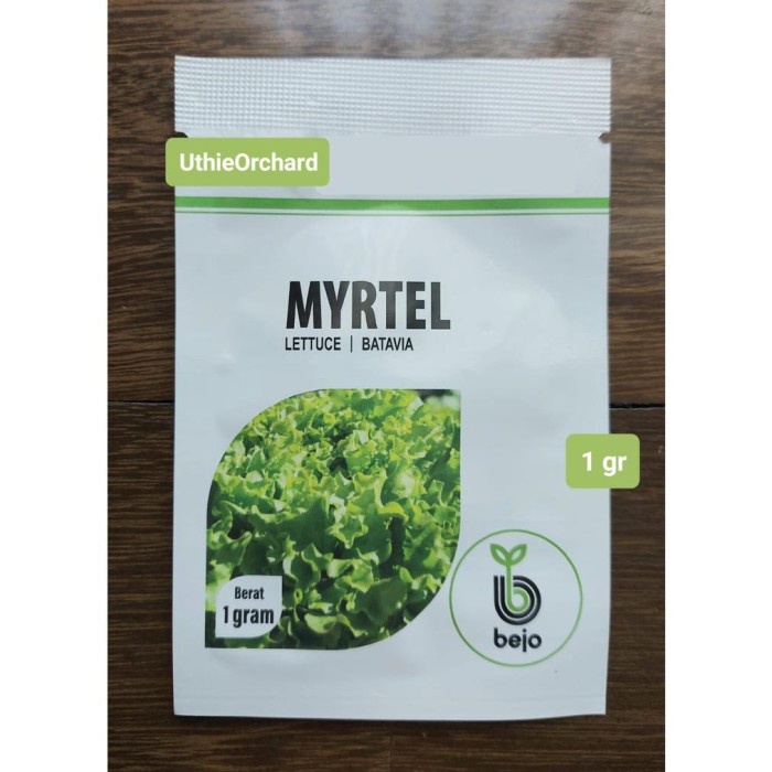 BEST BENIH BEJO SEED - SELADA BATAVIA MYRTEL KEMASAN 1 GR