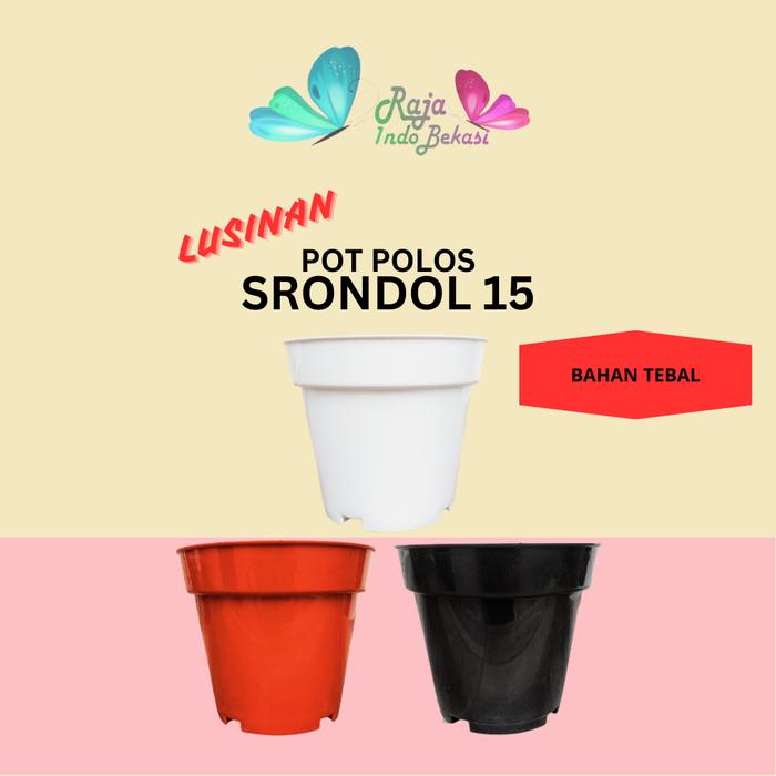 siapkirim- Lusinan isi 12pcs Pot Tinggi Srondol 15 Pot Bunga Tinggi Pot Hias Aglonema