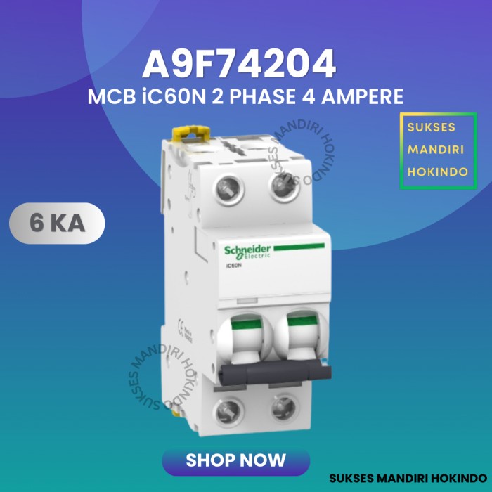 Mcb 2P 4A 2 Phase 4 Ampere Original Sni Schneider Ic60N 2 Pas 4 Amper