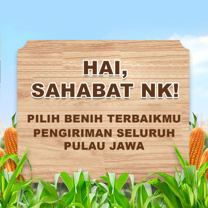 Benih Jagung NK 6501 NK SUPER - 1Kg