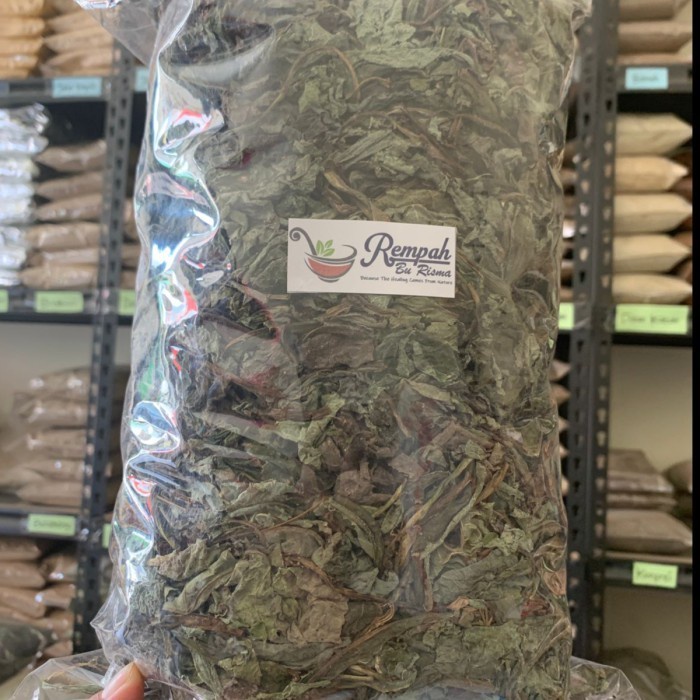 

TERMURAH!! DAUN TEMPUYUNG KERING 1 KG GRAM SUPER