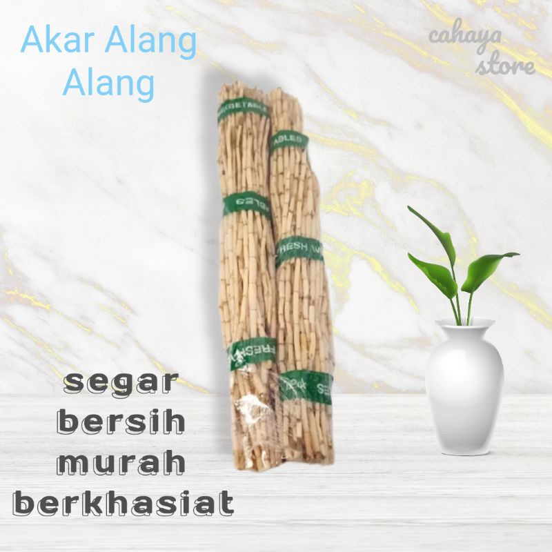 

FRESH akar Alang Alang segar 1kg obat herbal banyak khasiat
