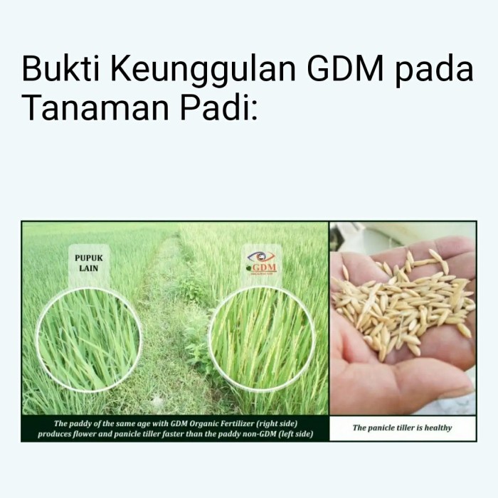 Fresh Flower Pupuk Organik Cair Gdm Pangan Untuk Padi - 1 Liter