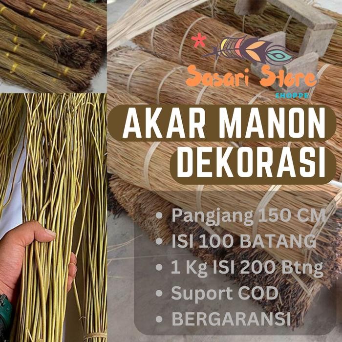 (Expert) Akar Manon dekor media menancapkan bunga hias juga tidak mudah goyang