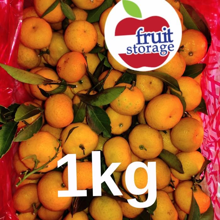 

BisaInstan- Buah Jeruk Santang Shantang Daun China 1 kg / 1 dus