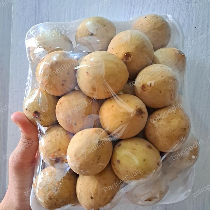 

BisaInstan- Duku Palembang Super Fresh 1 Kg