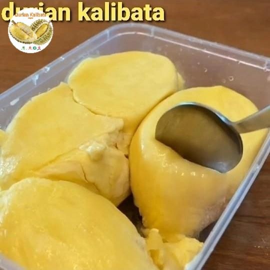 

BisaInstan- Durian duren montong Palu