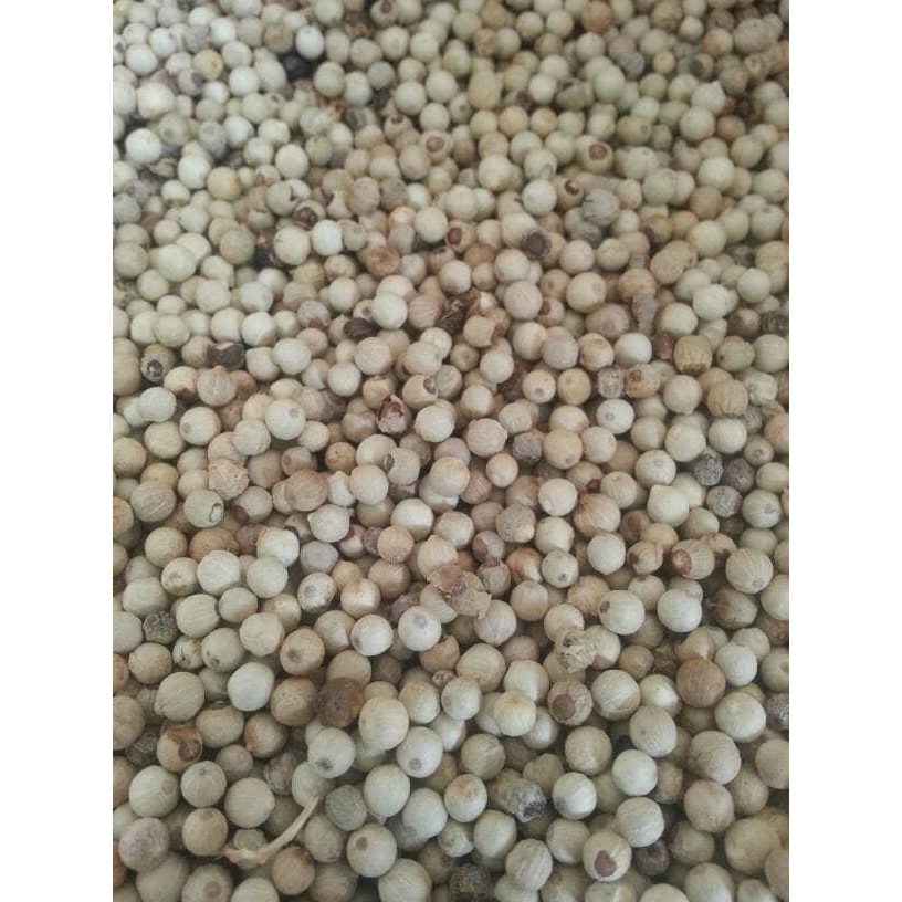 

BisaInstan- LADA PUTIH BANGKA. KUALITAS BAGUS, BEBAS DARI BAHAN KIMIA/PEMUTIH